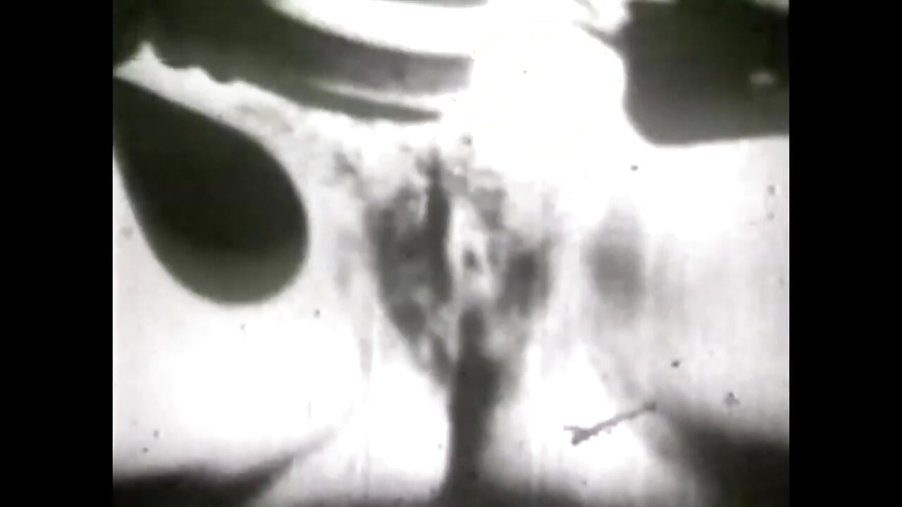 Seks se nikad ne menja