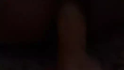 Anal solitario