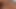 Latina fickt ihm das ganze Sperma aus dem Pimmel