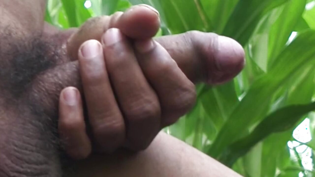 Worldwide Viral Desi Hunk Solo Action Vol 13 - Premium Faceless Amateur Close-up Intense Stroking Masterclass 4K