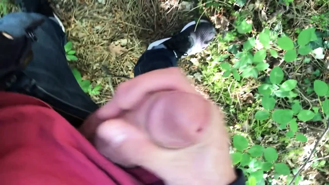blowjob sw