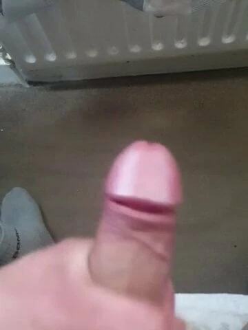 Horny morning