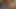 Three gay Asian dudes in bed masturbating and giving each other head