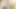 BabyBlonder video