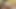 本物のレズビアンとセックスしてみませんか?