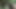 The hunter fucks two cock hungry sluts in the woods