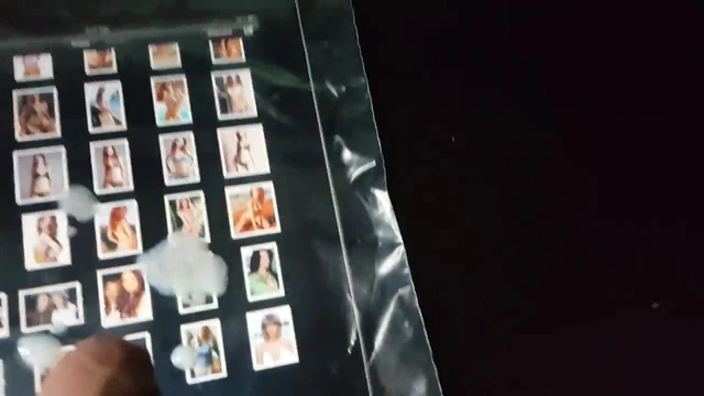 Tribute to Taylor Swift