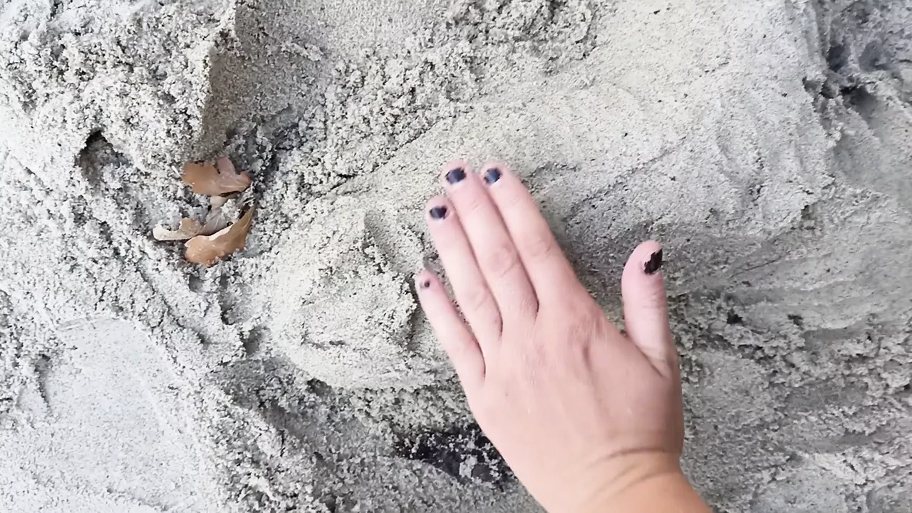 Penis sex art on a summer beach