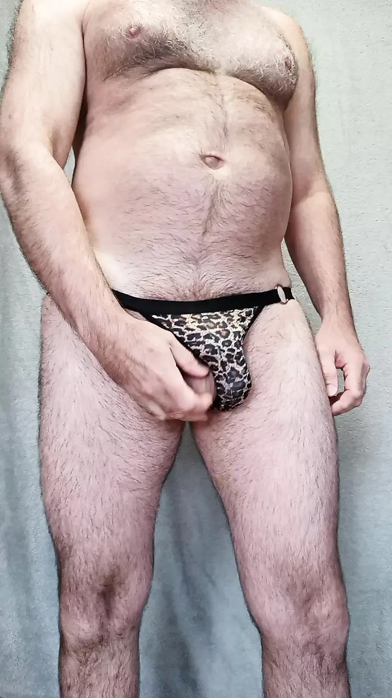 Leopar tangalar heyecan verici)