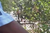 Aperçu de la vidéo