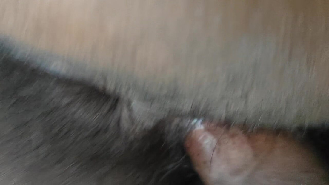 Pusssy liking