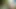 Outdoor Adventure - Sassy Blonde Loves Masturbating In The Woods So Random Strangers Can Catch Her