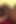 レズビアン異人種間 - 新しいフレーバー