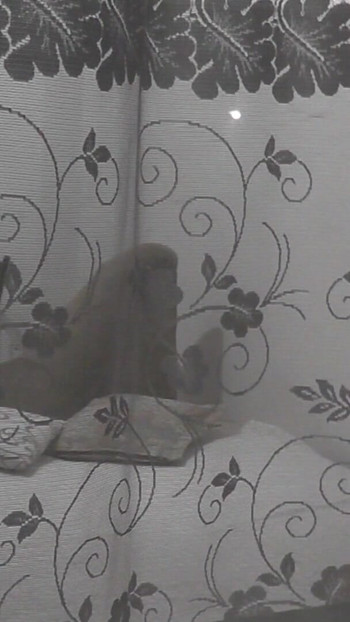 Jaw-dropping moment from "Public. Boy neighbor peeps on masturbating MILF through an opemn window"