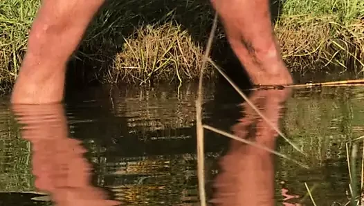 Su refleksleri