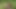 Horny Latina Deepthroats in Park Grass and Gets Her Pussy Hardcore Hammered!