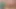 Yaramaz latin canavar dildo sikişi - amcığı bu boyutta nasıl idare ediyor?