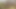 Amazonギフト証明書