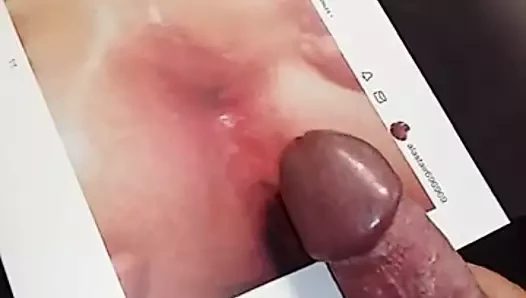 Coraliebis2