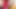 Hot Wet Myla_angel in Red Topic, Tits Press, Squeeze, Oil Pussy From Below!