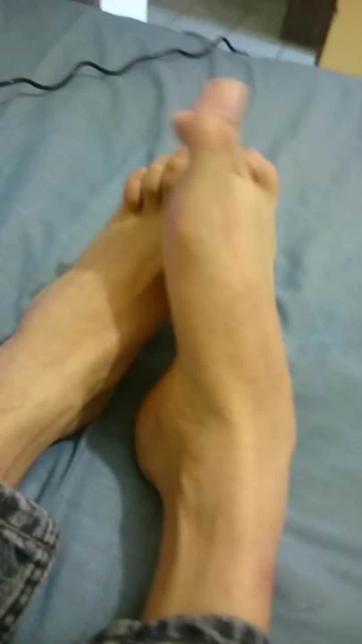 pies