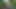 Cheating Outdoor With A Stranger Girl In The Cornfield And Cumming On Her Big Ass
