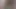 ShyTom Pee 11