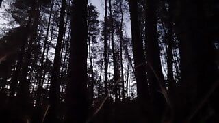 In the dark forest I fuck and cum in my girlfriend's mouth - Lesbian-illusion