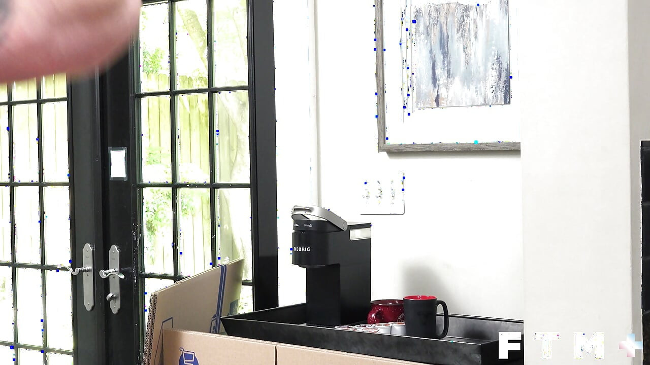 Transman Stevie Trixx is licked and fucked by Lane Colten