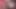 Şişman Kıçlı Sissy Femboy Esmer Kızın Önünde Diz Çöküyor ve Onu Yutuyor
