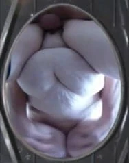 I cum from the land down under 001.