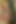 Aj Applegate bakış açısı sphinctacular içinde