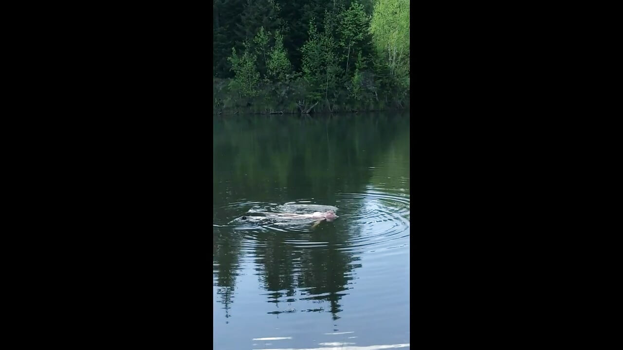 My Stepbro surprised me while I was completely naked in the woods