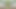 Amateur Thai villagers have sex in the forest public 4K 18+