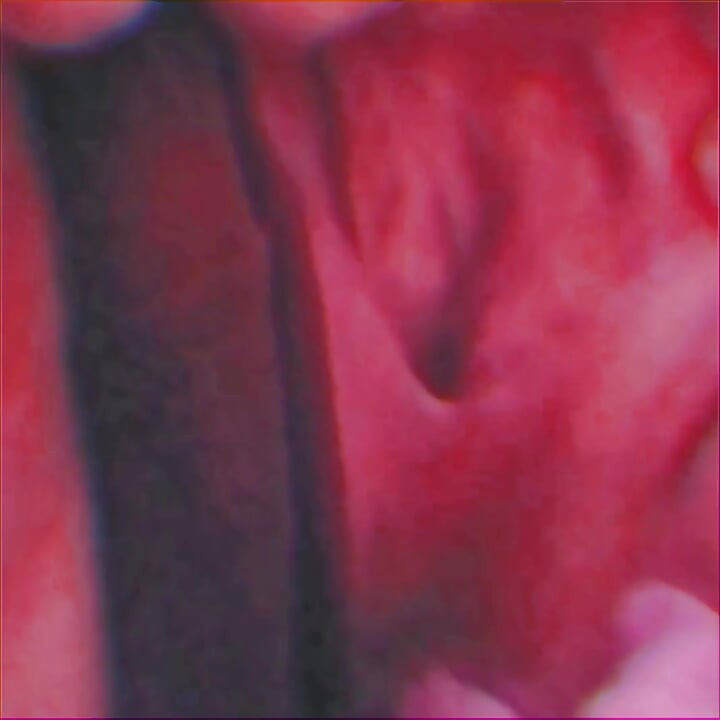 Cosa animada