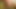 Bahamas Mandingo Breeds Raw Latin Ass1-2