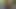 Er Melkt mich
