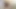 Vevey kız kardeşimin içine boşalıyorum, o canlı yayındayken
