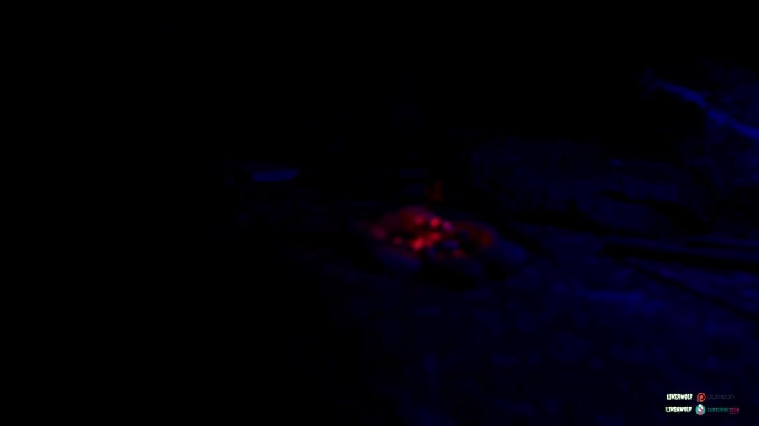 Monstruo follado, volumen 5: la bruja de la montaña Alburn