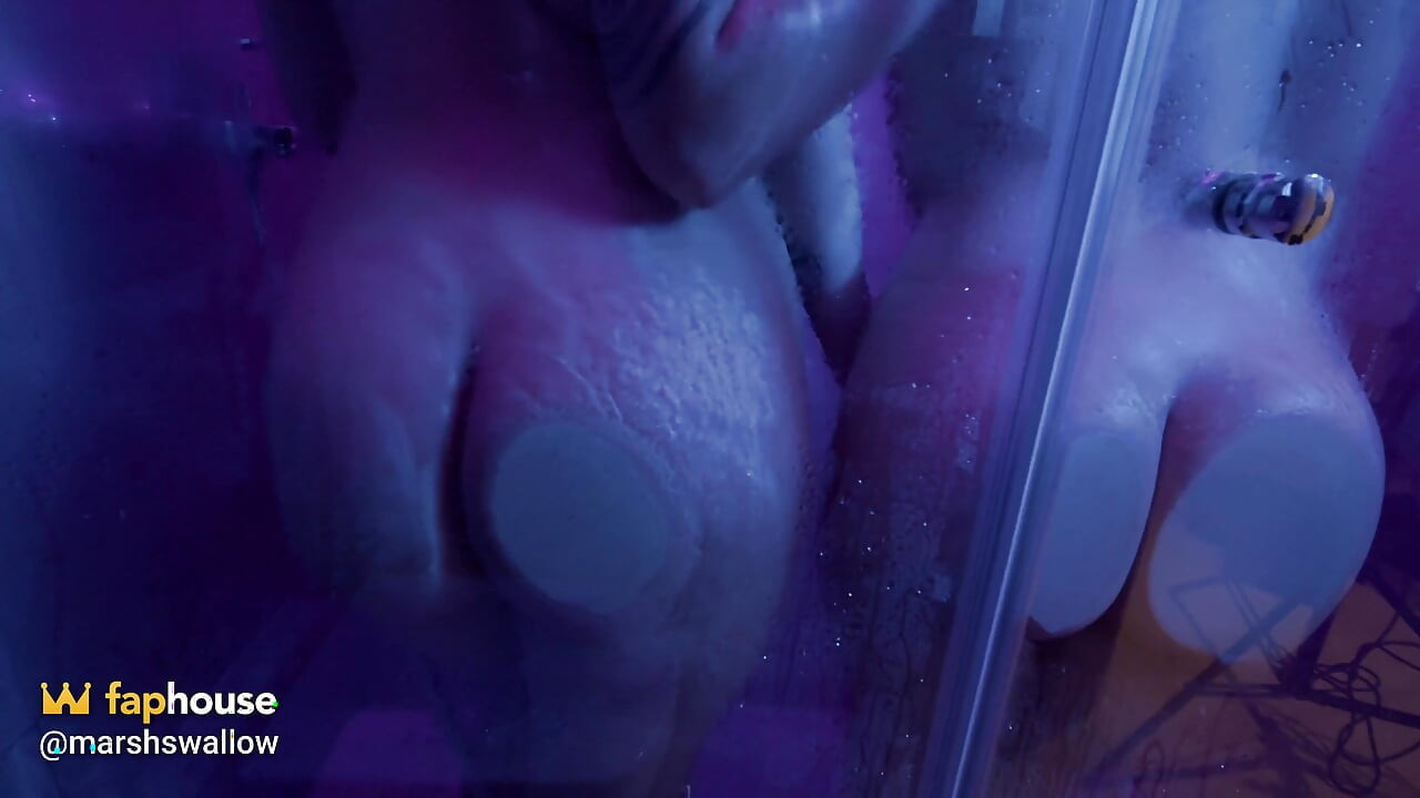 Sex in the Shower with My Girlfriend