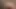 My dick shooting a huge jizz load in horny evening mood