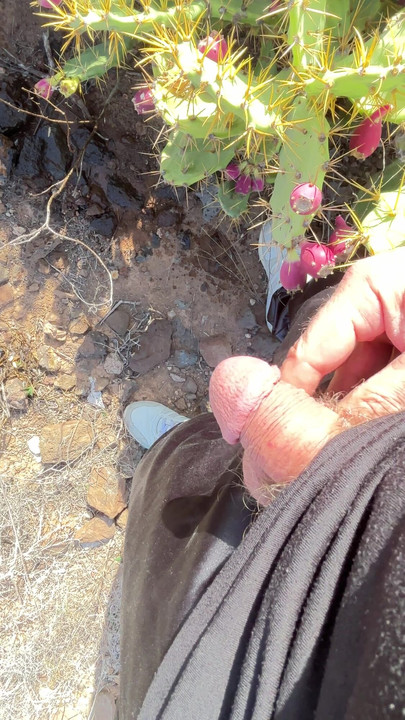 大自然中的小便