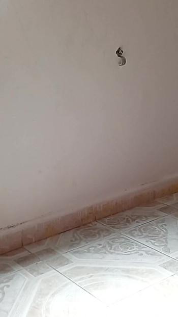Spectacular moment from "Mexican mother-in-law cleaning guest room in thong 5"