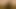 ぽっちゃり系がこのBbcの最後の一滴を手に入れる