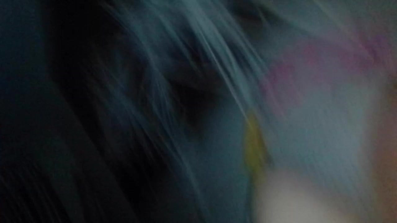 Chlen