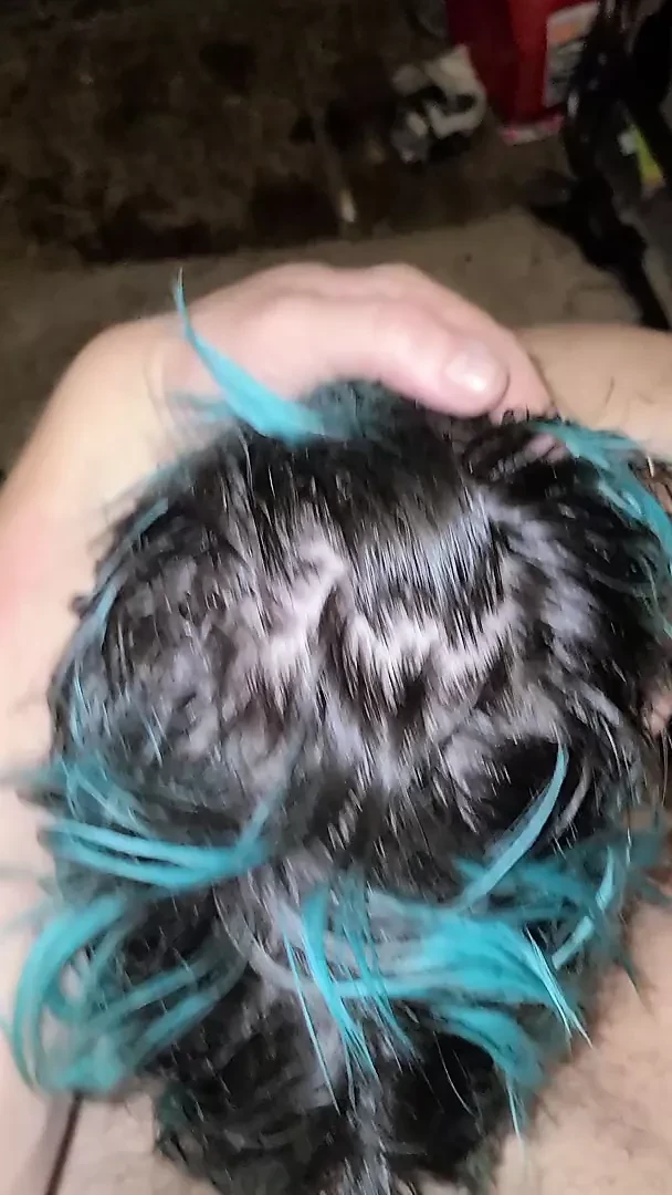 Dedicated Faggot