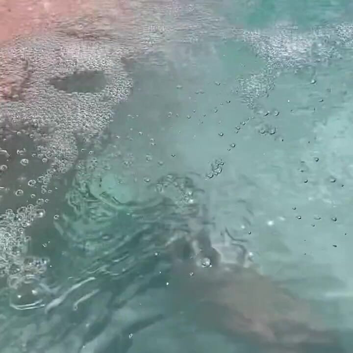 Artemisia Love Showing Her Perfect Tits in a Micro Bikini Underwater