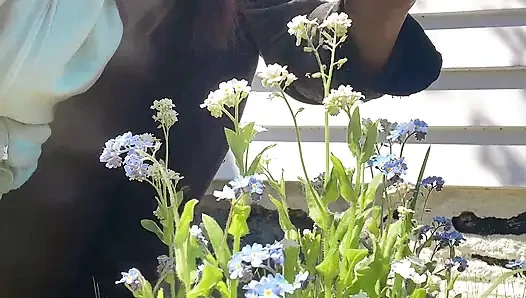 Piss-muschi zur pflege, blume