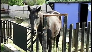 Blonde bitch fucked hard up the smelly door in outbuilding