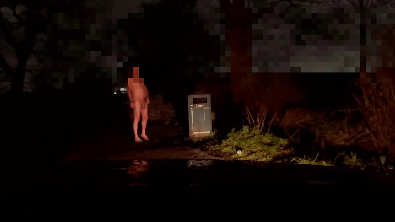 Wanking in public naked . Was I seen ?